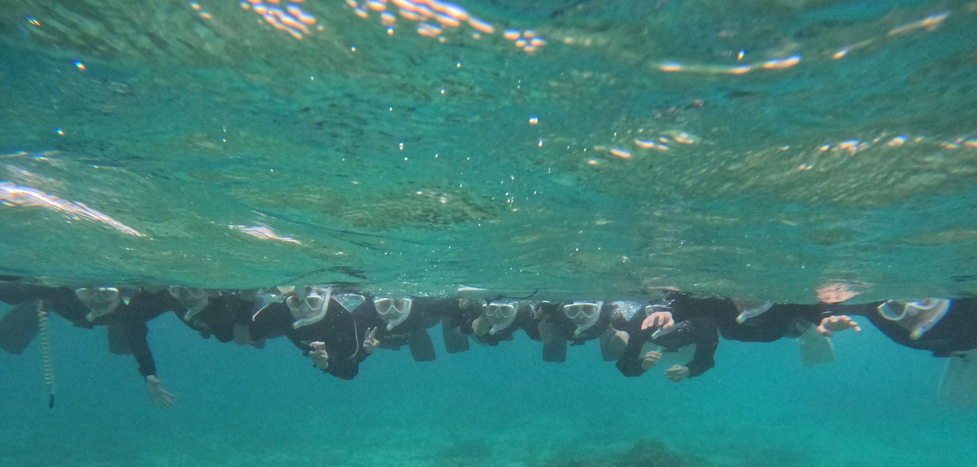 奄美大島での離島遠征