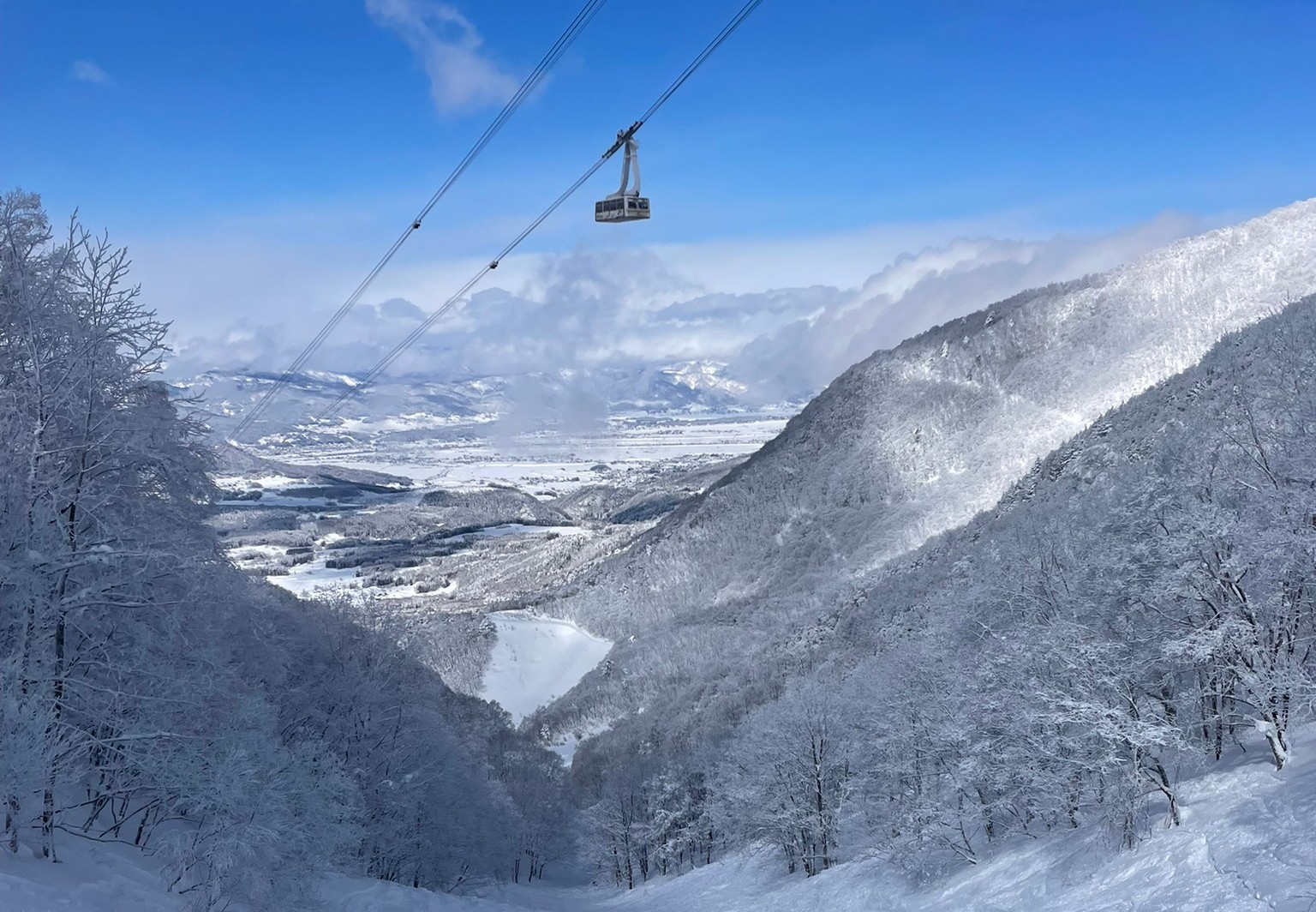 スキー・スノーボード企画