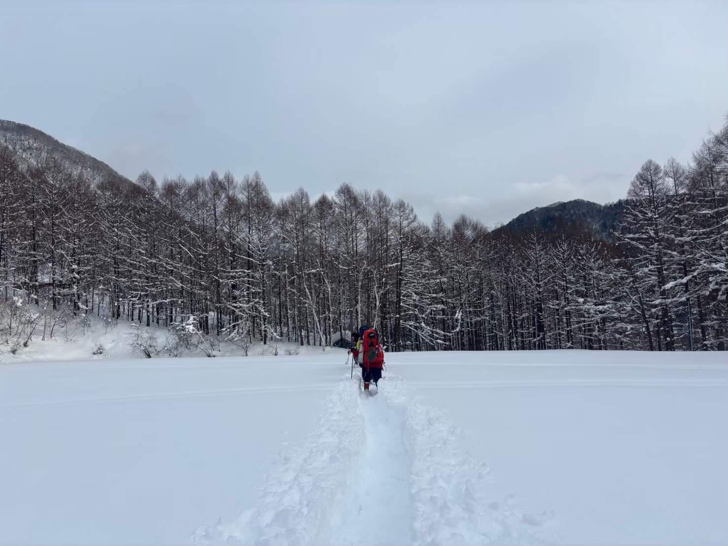 雪上訓練の様子(宝台樹ヒュッテ前)